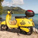 Shared Transfer : Moorea Airport (or) Pier to Hotel - How Does the Transfer Work?