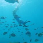 Shasa Catamaran Cruises Limited Numbers 3 Hour Sail and Snorkel - What’s Included and What’s Not