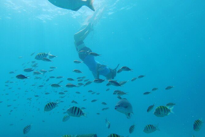 Shasa Catamaran Cruises Limited Numbers 3 Hour Sail and Snorkel - What’s Included and What’s Not