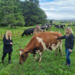 Sheep & Beef Working Farm Private Tour - An In-Depth Look at the Tour Itinerary