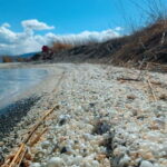 Shell beach Turtle head and Kok-Moinok canyons - Practicalities and What to Expect