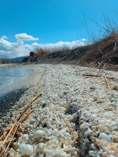 Shell beach Turtle head and Kok-Moinok canyons - Practical Details and Tips