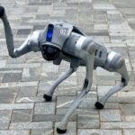 Shenzhen 0.5 or 1 Day: "Tech Focus Tour" or "Culture+Tech Tour" - Detailed Breakdown of the Experience