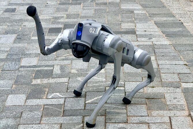 Shenzhen 0.5 or 1 Day: "Tech Focus Tour" or "Culture+Tech Tour" - Detailed Breakdown of the Experience  