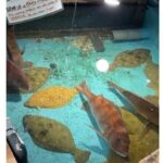 Shibuya Shopping and Izakaya Tour - Who Is This Tour Best For?