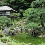 Shiga Seasonal Delights Day Trip into Nature and Harmony - What to Expect on the Day
