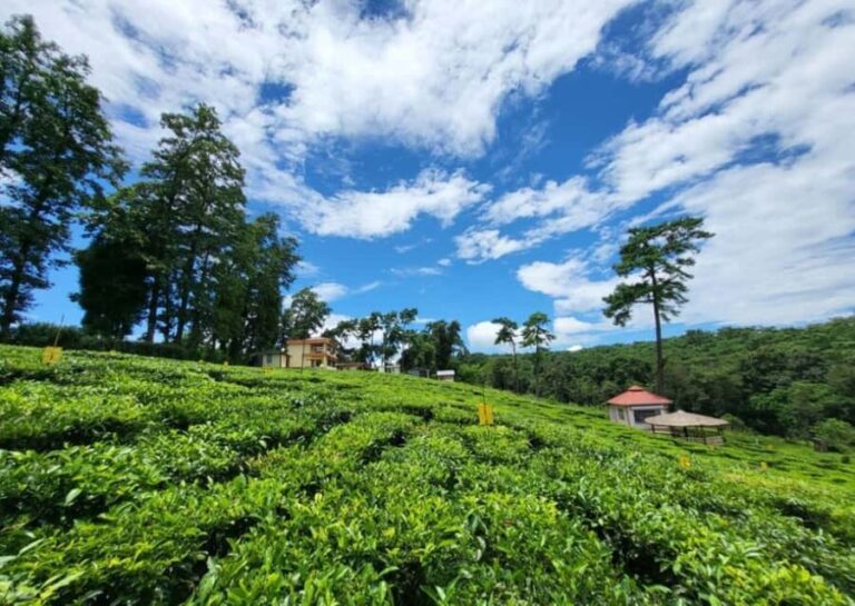 Shillong: Guided Half-Day Sightseeing Tour by Car - What to Expect and Practical Tips