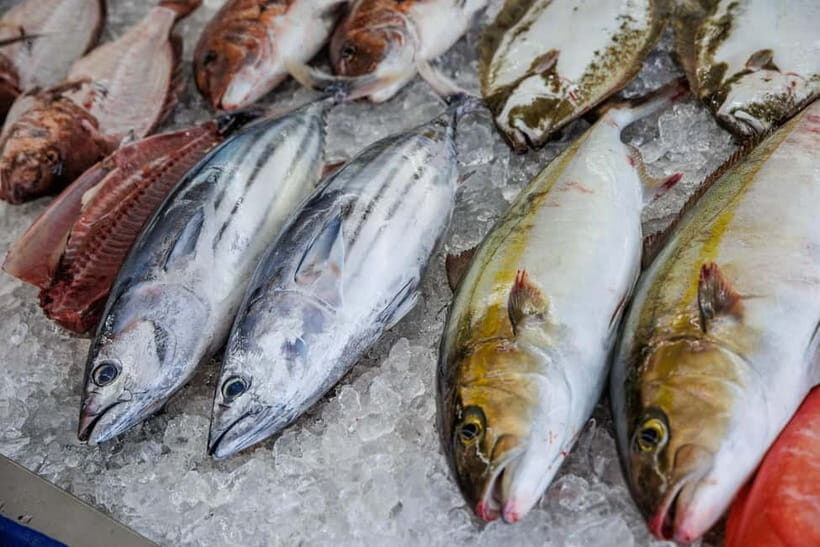 Shima: Standard Fish Shop Tour & Workshop - Who Should Consider This Tour?  