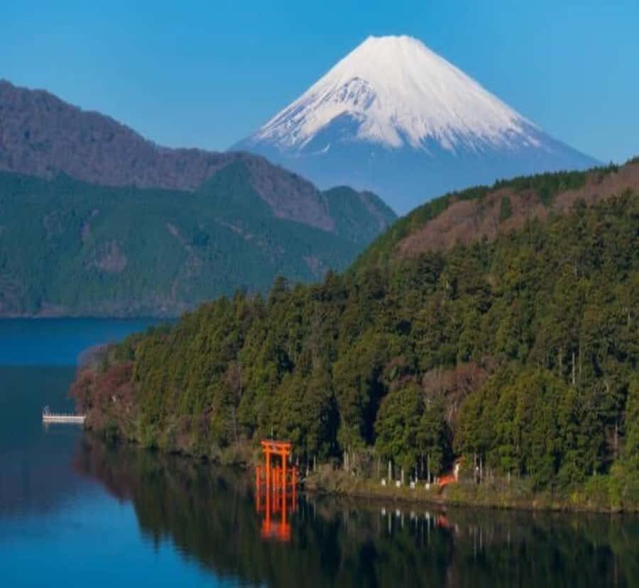 Shimizu: Hakone full-day Private Tour with Guide - What Makes This Tour Stand Out?