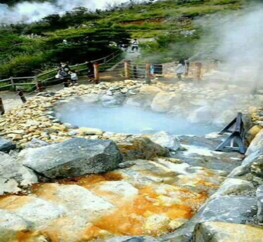 Shimizu: Hakone full-day Private Tour with Guide - Discover Hakone at Your Own Pace