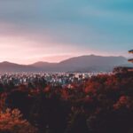 Shimizu: Kyoto Full-Day Private Tour with Guide - An In-Depth Look at the Kyoto Private Tour from Shimizu