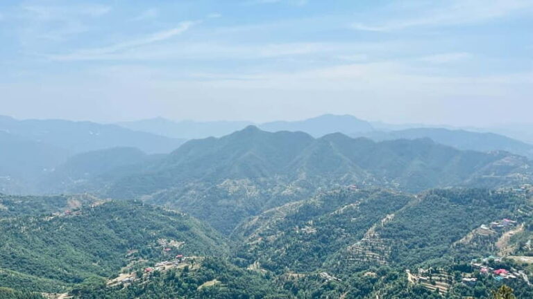 Shimla: Hiking Tour to Taradevi Hill with Local Driver Guide - FAQs