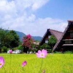 Shirakawa-go, Hida Takayama Day and Old Town Tour from Nagoya - Transportation and Group Dynamics