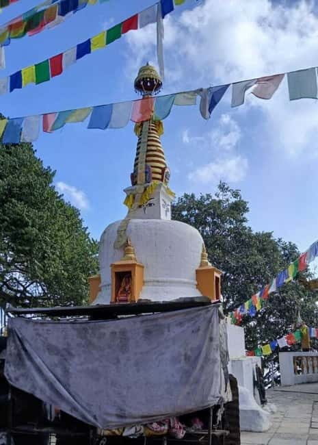 Shivapuri Nagarjun: Half-Day Hiking to Jamacho Gumba - Practical Details and Value