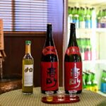 Shizuoka Area: Mt. Fuji Cultural Experience Private Tour - The Itinerary Breakdown