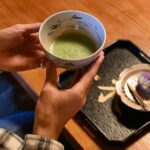 Shizuoka Area: Mt. Fuji Cultural Experience Private Tour - Practicalities and Logistics