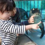 Shizuoka: Atagawa Tropical & Alligator Garden Entrance - The Experience Breakdown