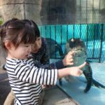 Shizuoka: Atagawa Tropical & Alligator Garden Entrance - Who Should Visit?