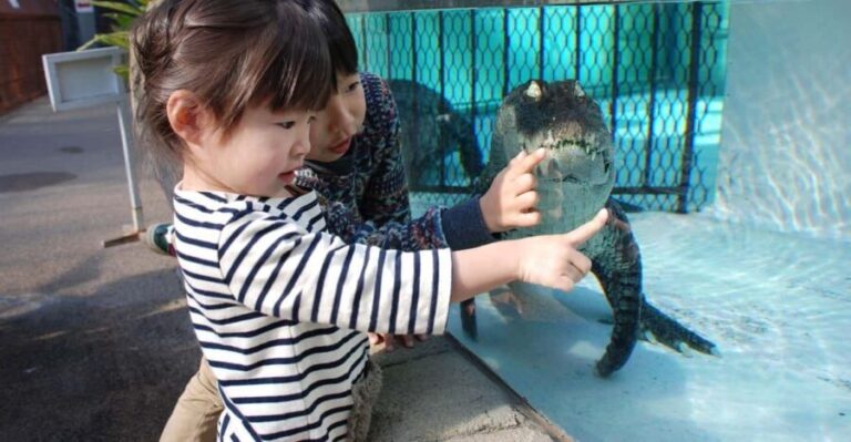 Shizuoka: Atagawa Tropical & Alligator Garden Entrance - The Experience Breakdown