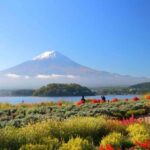 Shizuoka: Mount Fuji & Hakone Private Day Trip - Practical Details and Tips