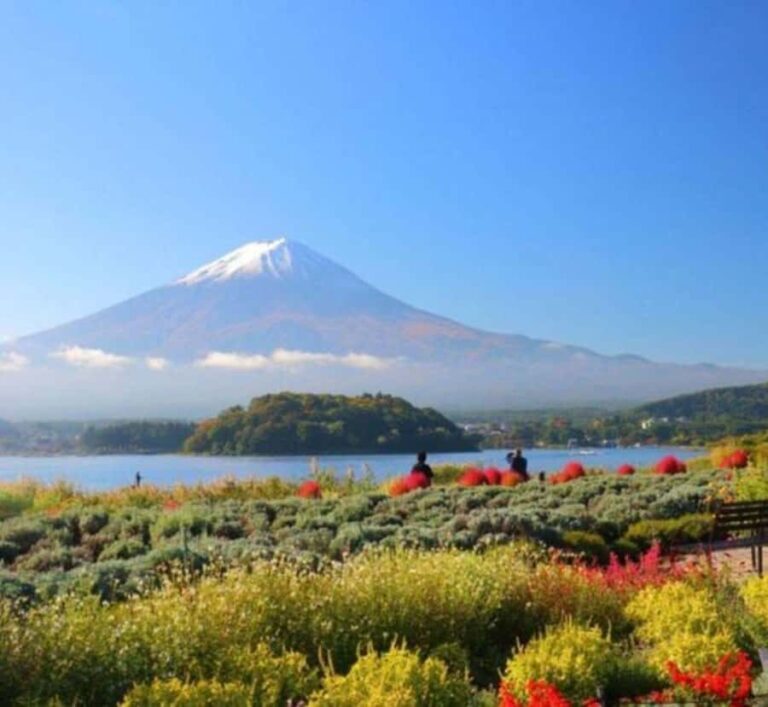 Shizuoka: Mount Fuji & Hakone Private Day Trip - Practical Details and Tips