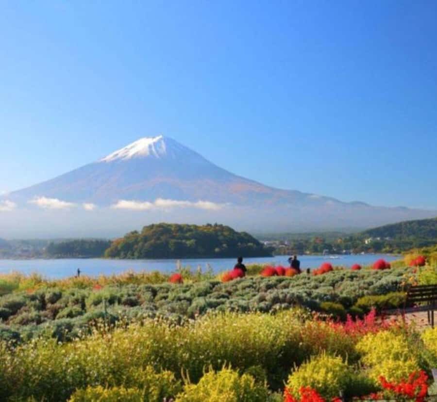 Shizuoka: Mount Fuji & Hakone Private Day Trip - Practical Details and Tips