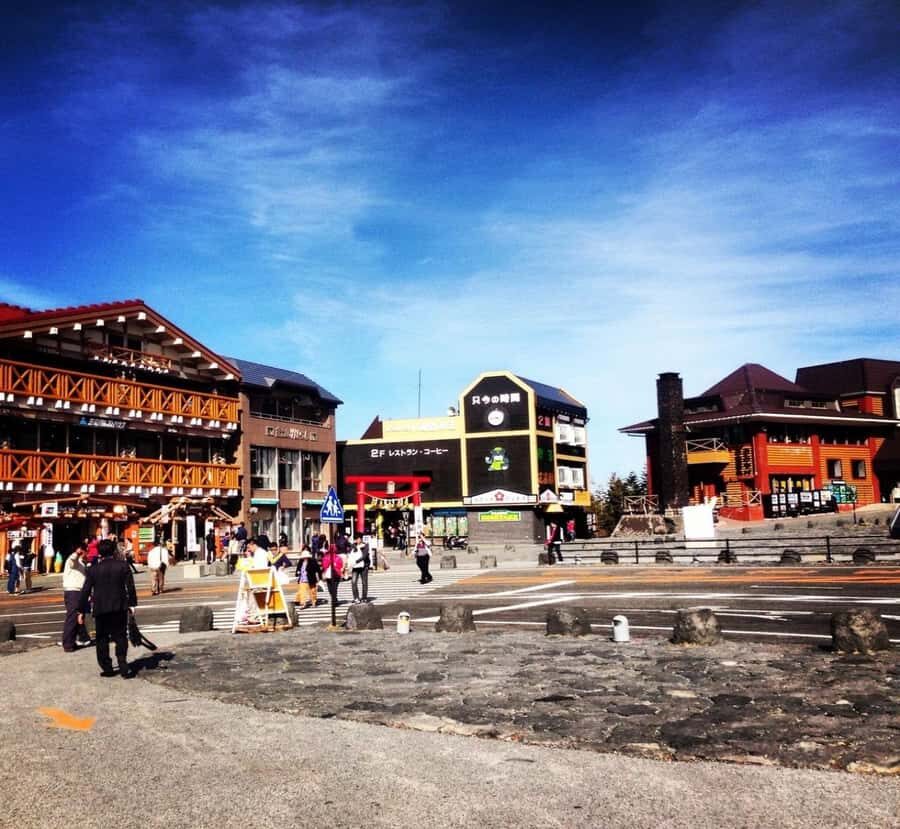 Shizuoka: Mount Fuji Private Full-Day Scenic Tour - A Complete Look at the Mount Fuji Private Full-Day Scenic Tour