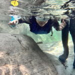 Shizuoka : Mt Fuji Secret Canyon River Trekking - Authentic Insights from Travelers