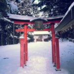 Shizuoka: Nagano Snow monkey park & Heritage Private Tour - The Landscape: From Shizuoka to Nagano