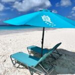 Shore Excursion Barbados Beach Day & Turtle Swim Experience - Transport, Timing, and Practicalities