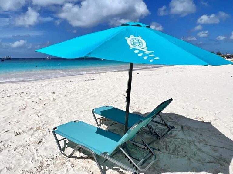 Shore Excursion Barbados Beach Day & Turtle Swim Experience - Transport, Timing, and Practicalities