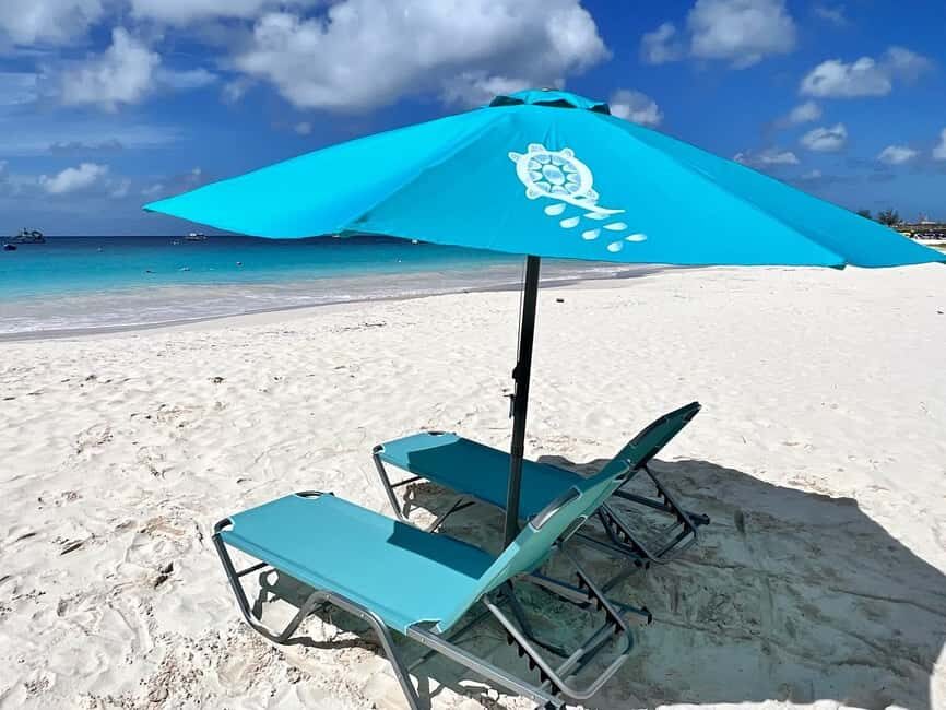 Shore Excursion Barbados Beach Day & Turtle Swim Experience - Transport, Timing, and Practicalities