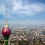 Shore Excursion Colombo Port To Colombo City Tour for 4 to 6 People - Who Is This Tour Best Suited For?