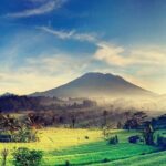 Shore Excursion : Private Tours To Ubud Art village And Surrounding Area - The Experience from a Traveller’s Perspective