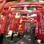 Shore Excursion to Kyoto from Kobe All Inclusive Tour - Final Thoughts