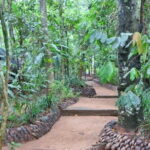 Shore Excursions Colombo Port Passenger Terminal to Kandy By Car. - What’s Included and What’s Not