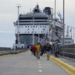 Shore Tours Peninsula Valdes Puerto Madryn Cruise Passengers - Why This Tour Offers Great Value