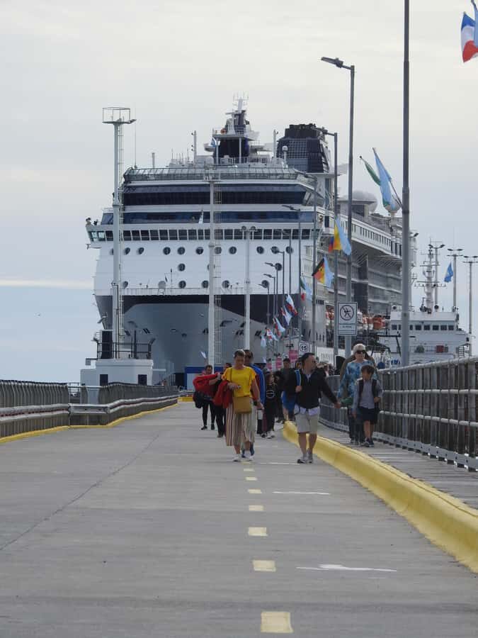 Shore Tours Peninsula Valdes Puerto Madryn Cruise Passengers - Why This Tour Offers Great Value