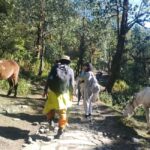 Short Day Trek: Pothana & Australian Camp from Pokhara - What You Can Expect on the Trek