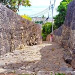 Shurijo Castle & Royal Mausoleum Tour  Ryukyu Kingdom Heritage - Why This Tour Works Well