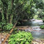 Shuttle Bus Roundtrip Port Vila Airport Transportation - The Booking and Meeting Process