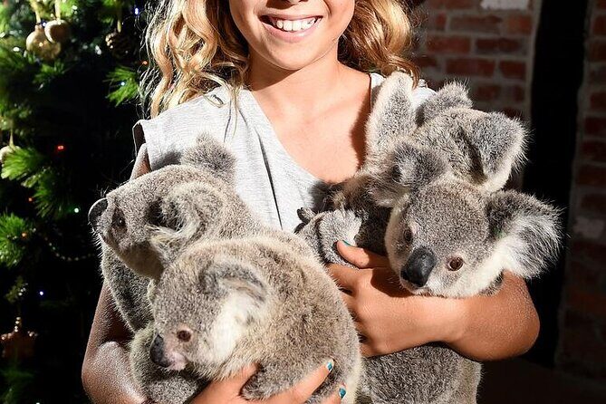 Shuttle Bus Transfer - Kuranda TO Cairns City - Transportation, Timing, and Practicalities