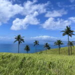 Siargao: Private Corregidor Island Tour - The Food and Environmental Aspects