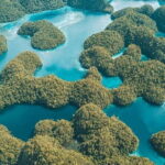 Siargao Private Sohoton Bucas Grande Tour with Lunch - What Travelers Say