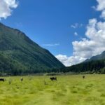 Sichuan: Mount Siguniang Scenic Area Ticket - The Three Valleys: Unique Experiences and Tips