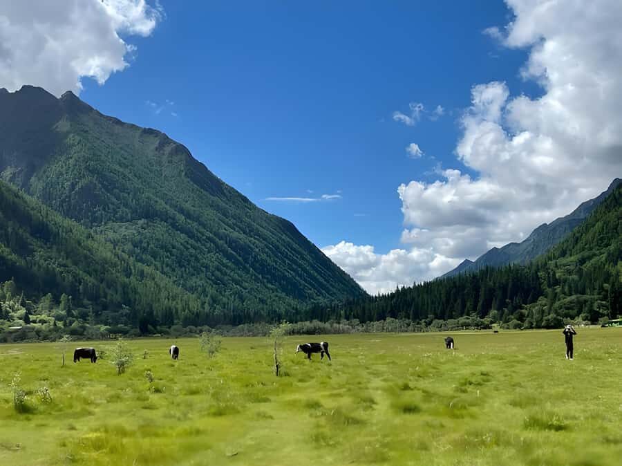 Sichuan: Mount Siguniang Scenic Area Ticket - The Three Valleys: Unique Experiences and Tips