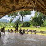 Sidemen: Rice Terraces and Hidden Waterfall - Practical Details and Why They Matter