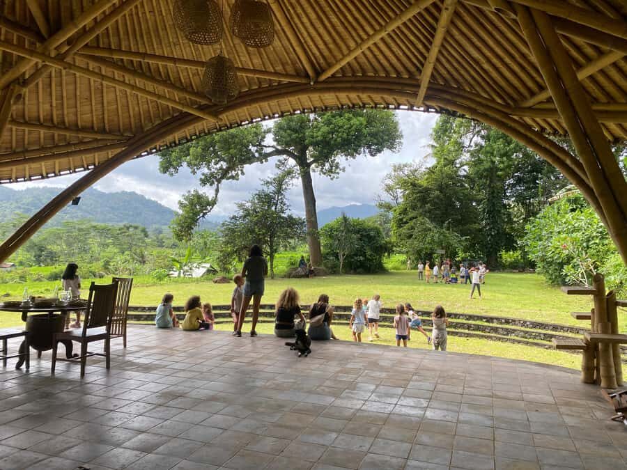 Sidemen: Rice Terraces and Hidden Waterfall - Practical Details and Why They Matter  