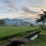 Sidemen: Rice Terraces and Hidden Waterfall - Who Is This Tour Best For?