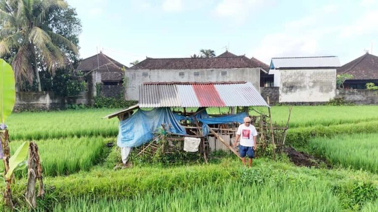 Sidemen rice terraces trek and local village walk - The Guides and Personal Touch